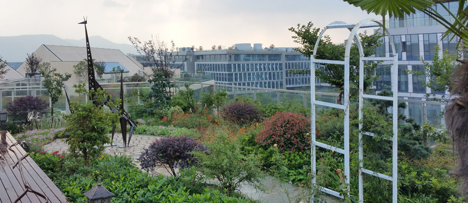 南京萬(wàn)通城市建設設計院弱電系統項目案例。